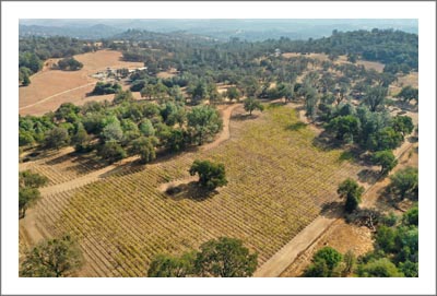 Washington Vineyard and Apple Orchard For Sale - Wine Country Real Estate