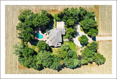 Lodi Vineyard For Sale - Lodi AVA - Luxury Home w/ Pool For Sale - Wine Country Real Estate