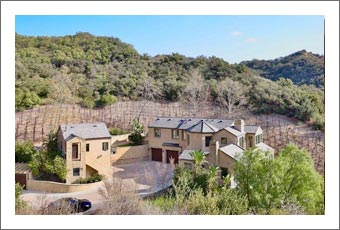 Orange County Luxury Home & Vineyard For Sale - Orange County Wine Real Estate