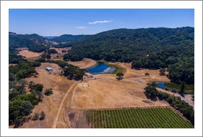 Vineyard For Sale - Paso Robles AVA 218 Acres w/ 34 Acre Vineyard For Sale - Templeton Real Estate
