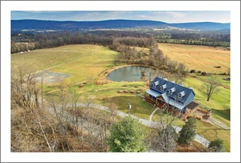 Virginia Wine Country Home & Vineyard For Sale - Winery / Brewery Potential - Real Estate