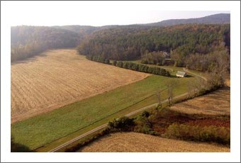 Vineyard Potential Land - North Carolina Wine Country Home w/ River and Plantable Land - Surry County Real Estate