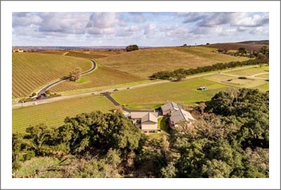 Paso Robles AVA Vineyard For Sale - Energy Efficient Home - Zinfandel Vineyard - Wine Country Real Estate