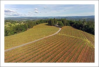 Sierra Foothills AVA Profitable Winery, Vineyard and Home For Sale - Wine Country Real Estate
