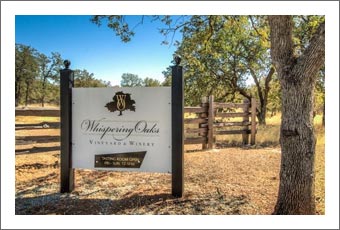 Shasta County Winery, Tasting Room, Vineyard and Luxury Home For Sale - Wine Country