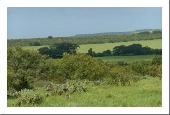 Land For Sale - Texas Hill Country Land For Sale - Vineyard Potential