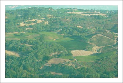 Premier Winery Potential Location - Sonoma County Vineyard For Sale - Sonoma County Wine Country Real Estate