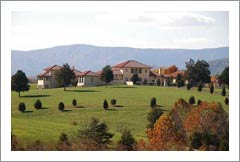 Luxury Villa Style Home and Vineyard For Sale - Virginia Luxury Real Estate