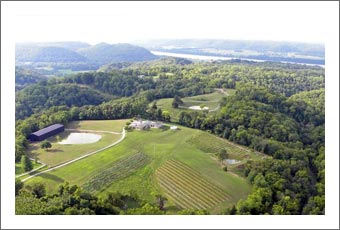 Kentucky Winery and Vineyard For Sale - Kentucky Farm For Sale - Kentucky Real Estate
