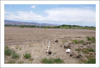 Colorado Land for Sale - Colorado Orchard For Sale - Vineyard Potenial