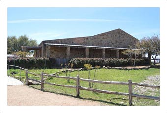 Land For Sale - Texas Hill Country Land For Sale - Vineyard Potential