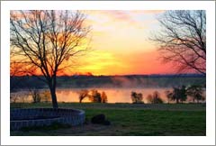Winery For Sale - Texas Winery, Vineyard & Custom Home For Sale - Lily Lake Vineyards
