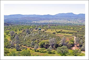 Vineyard Land For Sale -