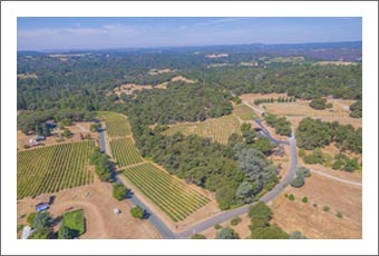 Winery For Sale - Sierra Foothills Winery & Vineyard For Sale - Northern California Wine Property