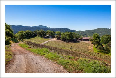 Premier Winery Potential Location - Sonoma County Vineyard For Sale - Sonoma County Wine Country Real Estate