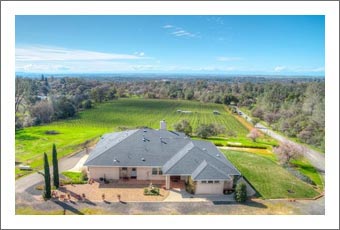 Northern California Wine Country Home w/ Vineyard and Wine Cellar For Sale - Wine Country Real Estate