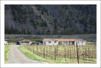Vineyard For Sale - Similkameen Valley Vineyard For Sale - British Columbia, Canada