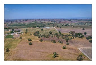 Paso Robles Hay & Alfalfa Farm For Sale - Water Rights - Vineyard Potential