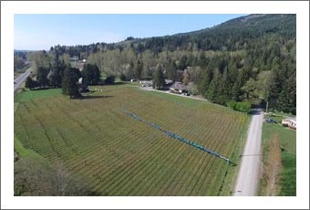 Washington Vineyard For Sale - Klickitat County Real Estate