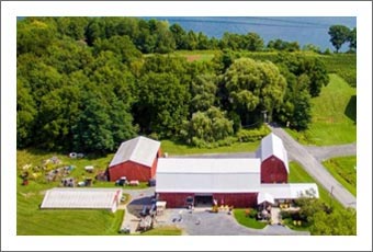 Seneca Lake Winery and Vineyard For Sale - Finger Lakes Wine Country Real Estate