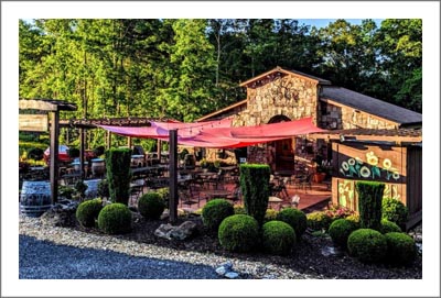 Georgia Winery & Vineyard For Sale - Wine Tasting Room w/ Custom Home