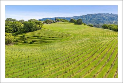 Sonoma Valley Vineyard For Sale - Sonoma Wine Country Home w/ Barns & Ponds