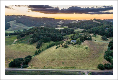 Vineyard For Sale - Paso Robles AVA 218 Acres w/ 34 Acre Vineyard For Sale - Templeton Real Estate