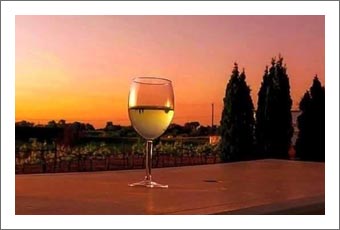Walla Walla Washington Winery and Vineyard For Sale - Vacation Rental (VRBO) For Sale - WA Real Estate