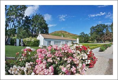 Los Angeles County Wedding Venue For Sale - Event Venue & Vineyard For Sale - Los Angeles County Land
