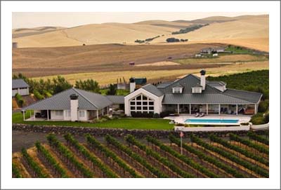 Washington Vineyard For Sale - Contemporary Home w/ 4 Suite Inn - Bed and Breakfast