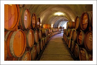 Winery For Sale - Premium Winery on Popular Wine Route In a Wonderful Setting Among the Sierra Foothills Wine Country