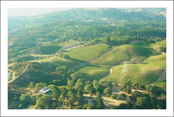 Sonoma County Winery & Vineyard For Sale - Sonoma County Wine Real Estate