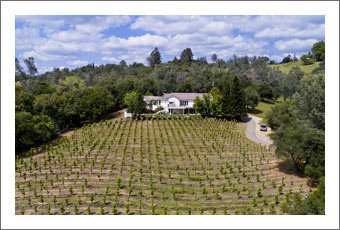 Placer County Vineyard For Sale - Luxury Home For Sale in the Sierra Foothills