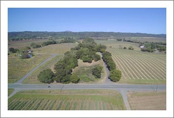 Sonoma County Winery Permit For Sale - Vested 30k Case Winery Permit - 15 Acres - Dry Creek Valley