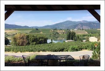 Washington Winery and Vineyard For Sale - Large Wine Processing Facility