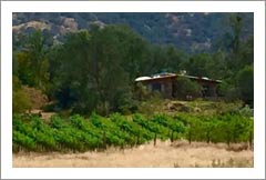 Squaw Valley Miramonte AVA Organic Vineyard and Historic Home For Sale - Wine Country Real Estate