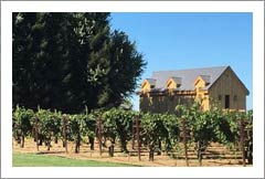 Lodi Winery and Vineyard For Sale - San Joaquin Valley Wine Country