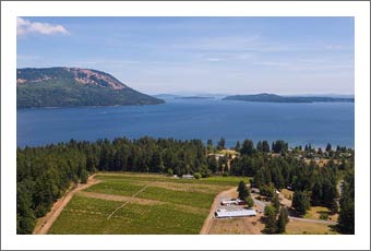 Vancouver Island Winery, Vineyard and Home For Sale - British Columbia Wine Country