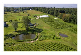 Connecticut Winery, Vineyard and Event Venue For Sale - Connecticut Wine Country Real Estate