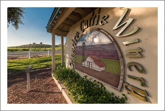 Temecula Valley Winery & Vineyard For Sale -