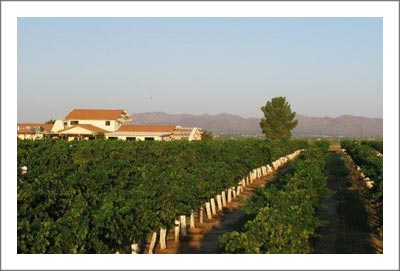 Arizona Winery For Sale - Arizona Winery and Vineyard For Sale - Wine Country Real Estate
