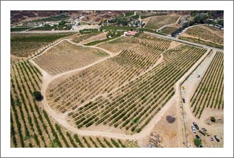 Temcula Winery For Sale - Alex's Red Barn Winery and Distillery For Sale - Temecula Wine Country Real Estate