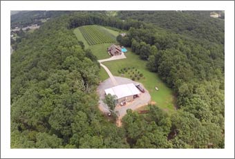 Vineyard For Sale - Tennessee Vineyard & Home For Sale - Wine Country Real Estate