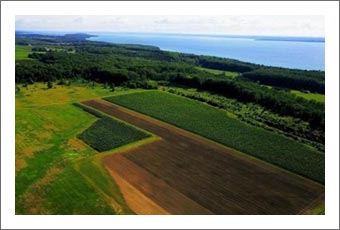 Michigan Vineyard For Sale - Located on the Old Mission Peninsula - Michigan Wine Country Real Estate For Sale