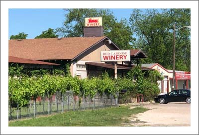 Bosque County Winery, Vineyard and Event Center For Sale - 120 Acres Fenced Ranch Land