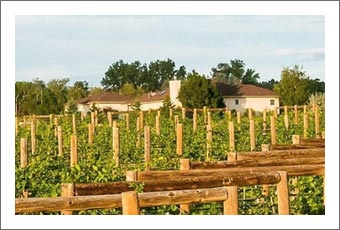 Colorado Vineyard For Sale - Delta County Real Estate - Home & Shop