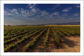 California Vineyards, Wineries, and Land For Sale - 0