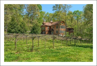 Georgia Winery & Vineyard For Sale - Event Center w/ Outdoor Amphitheater and Pond - Custom Home