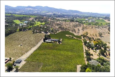 Napa Valley Vineyard For Sale - Napa Valley Vineyard Estate - Cabernet & Merlot Grapes