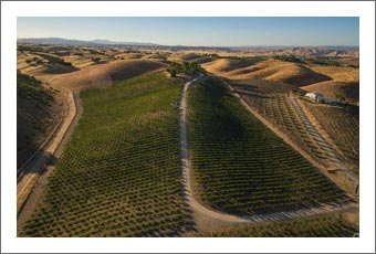 Paso Robles AVA Vineyard & Home For Sale - Horse Property with Wine Country Views